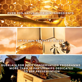 ABEILLE ROYALE CLARIFY & REPAIR CREME JAR REFILL | 50ml