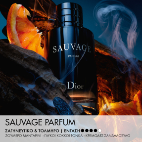 SAUVAGE SPRAY FOR THE WILD - LIMITED EDITION BOTTLE AND CASE - PARFUM | 30ml