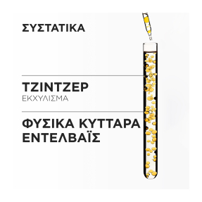 GENESIS MASQUE RECONSTITUANT ΜΑΣΚΑ ΚΑΤΑ ΤΗΣ ΤΡΙΧΟΠΤΩΣΗΣ | 200ml