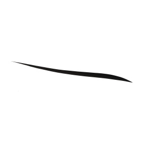 STYLO DÉFINITION L'OBSCUR | 0,5gr 01 Eve Black