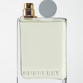BURBERRY HER EAU DE TOILETTE WOMEN | 30ml