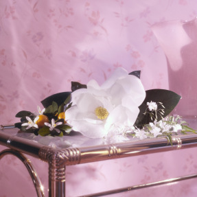 FLORA GORGEOUS JASMINE EAU DE PARFUM | 30ml