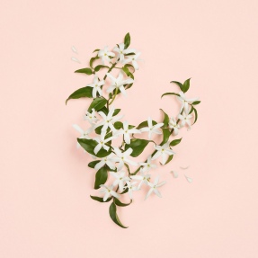 GUCCI BLOOM AMBROSIA D'ORO EAU DE PARFUM FOR WOMEN