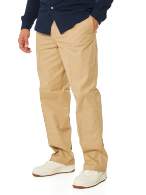 ΑΝΔΡΙΚΟ ΠΑΝΤΕΛΟΝΙ | Μπεζ EU 46