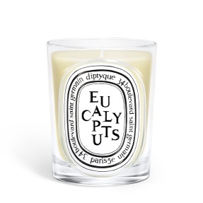 EUCALYPTUS SCENTED CANDLE | 190gr