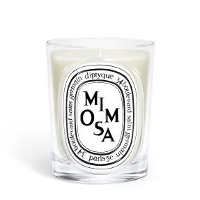 MIMOSA SCENTED CANDLE | 190gr