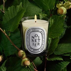 HAZELNUT TREE SCENTED CANDLE | 190gr