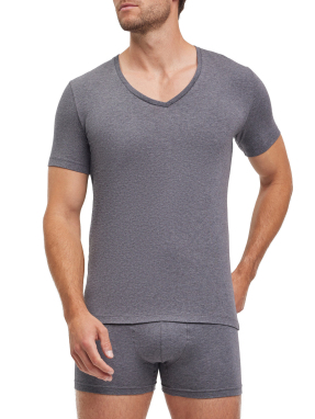ΑΝΔΡΙΚΟ T-SHIRT ΣΕΤ 2 ΤΜΧ | Γκρι XL