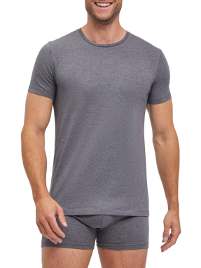 ΑΝΔΡΙΚΟ T-SHIRT ΣΕΤ 2 ΤΜΧ | Γκρι XL