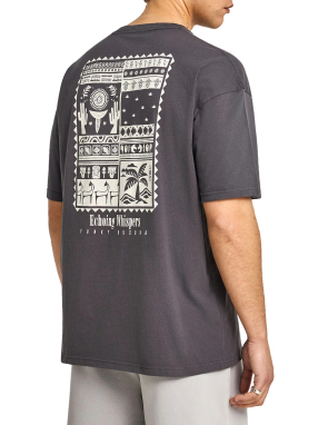 ΑΝΔΡΙΚΟ T-SHIRT | Ανθρακί L