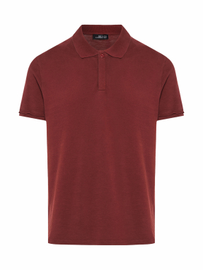 ΑΝΔΡΙΚΗ POLO ΜΠΛΟΥΖΑ | Μπορντό XXL