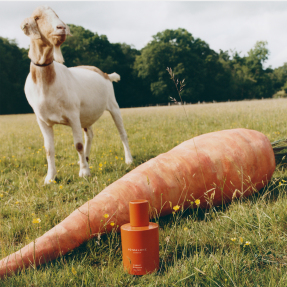 CARROT BLOSSOM COLOGNE ​ | 30ml