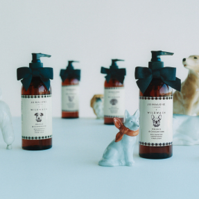 ORANGE & CEDARWOOD DOG SHAMPOO – WILDWASH EDITION | 285ml