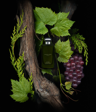 CYPRESS & GRAPEVINE SET | SET
