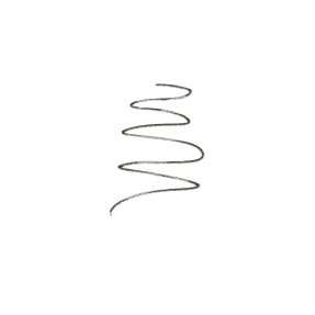 BROW PENCIL | Ebony