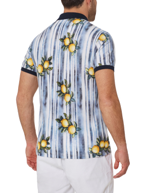 ΑΝΔΡΙΚΗ POLO ΜΠΛΟΥΖΑ | Πολύχρωμο XL