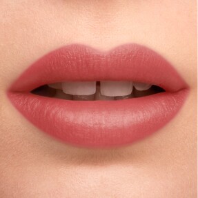 THE LIPSTICK BLUR MATTE | Nude Couture - Nude 742