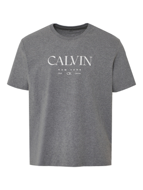 ΑΝΔΡΙΚΟ T-SHIRT | Γκρι XL