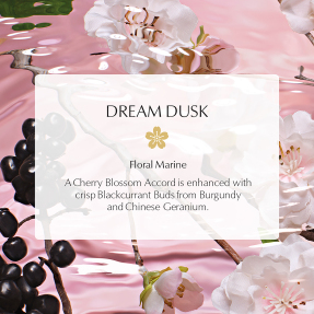 DREAM DUSK EAU DE PARFUM SPRAY REFILL | 100ml