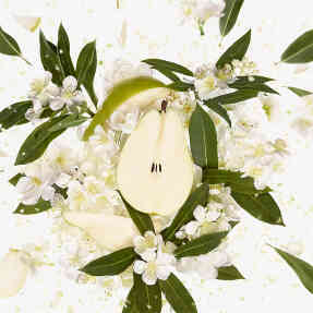 FLORA GORGEOUS GARDENIA EAU DE PARFUM | 30ml