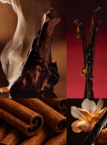 editorial_banner_winternotes_nov25_344x466