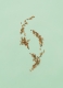 GUILTY POUR HOMME PARFUM EAU DE PARFUM  4
