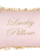 ΔΙΑΚΟΣΜΗΤΙΚΗ ΜΑΞΙΛΑΡΟΘΗΚΗ LUCKY PILLOW  0