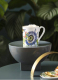 ΚΟΥΠΑ VILLEROY & BOCH 1