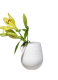 ΒΑΖΟ VILLEROY & BOCH 1