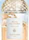 AQUA ALLEGORIA PAMPLELUNE EAU DE TOILETTE REFILL 3