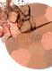 TERRACOTTA LIGHT THE SUN-KISSED NATURAL HEALTHY GLOW POWDER 2