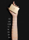 PARURE GOLD SKIN CONTROL MATTE COMPACT FOUNDATION 2