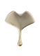 GINKGO GUA SHA  0