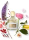 MILLESIME AVENTUS FOR HER EAU DE PARFUM 0