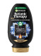 BOTANIC THERAPY CONDITIONER MAGNETIC CHARCOAL 0