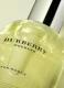 BURBERRY WEEKEND EAU DE PARFUM WOMEN 3