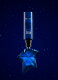ANGEL ELIXIR EAU DE PARFUM REFILLABLE STAR 5