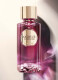 ABSOLUE LES PARFUMS FORBIDDEN ROSE NEW EAU DE PARFUM 4