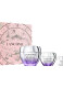 RÉNERGIE H.P.N 300-PEPTIDE GIFT SET 0
