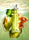STARLICIOUS PISTACHIO PRALINE EAU DE TOILETTE EAU GOURMANDE 3