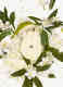 FLORA GORGEOUS GARDENIA EAU DE PARFUM 5
