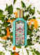 FLORA GORGEOUS JASMINE EAU DE PARFUM 3