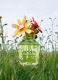 DAISY WILD EAU SO INTENSE EAU DE PARFUM 4