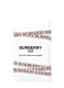 BURBERRY HER EAU DE PARFUM INTENSE 2