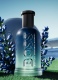 BOTTLED BOLD LAVENDER  EAU DE PARFUM 2