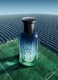 BOTTLED BOLD LAVENDER  EAU DE PARFUM 6
