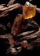 SACRED WOOD 1