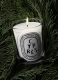 CYPRÈS SCENTED CANDLE 1