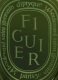 FIGUIER SCENTED CANDLE 1