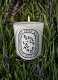 FEUILLE DE LAVANDE SCENTED CANDLE 1